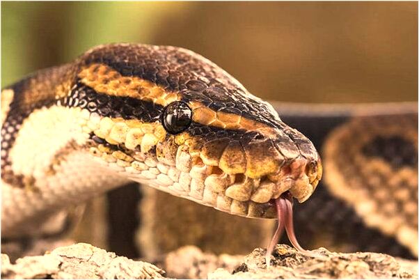 夢到往下走怎么回事_周公解夢官網