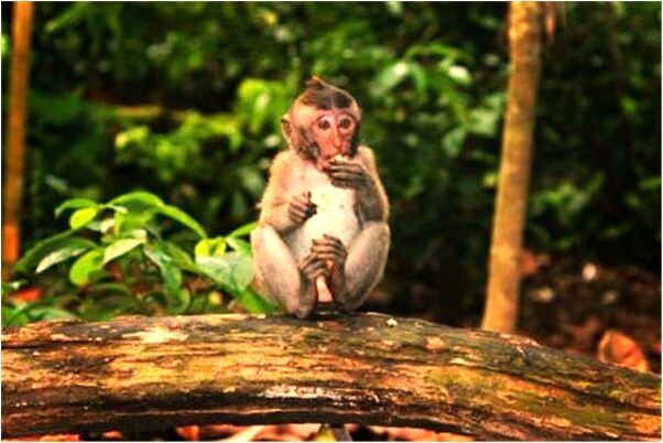 夢到夢房屋倒塌是什麼預兆？_周公解夢官網