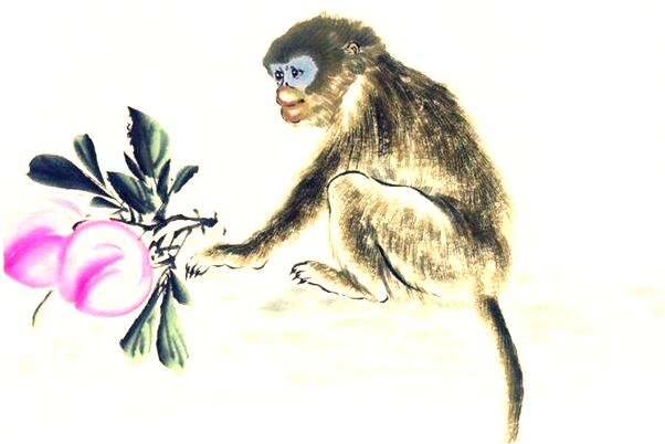 夢到打死一隻狐狸死而復生會有什麼預兆_周公解夢官網