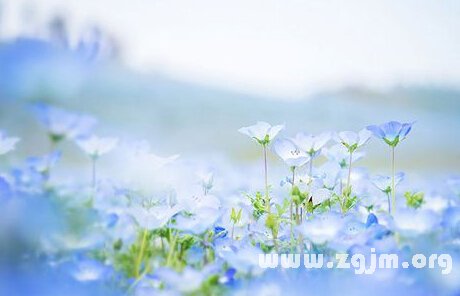 一夜情後會動真心的星座男_十二星座