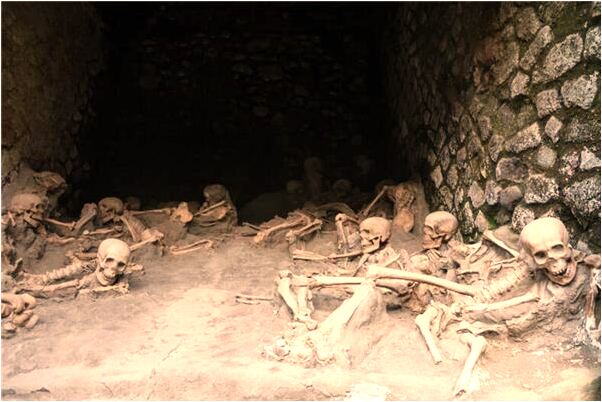 夢到了蛇跑肚子裡面是凶兆還是吉兆_周公解夢官網