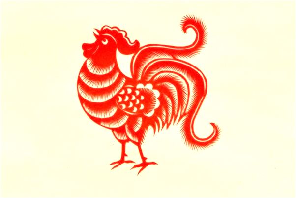 夢見自己養的貓快餓死了是啥意思_周公解夢官網