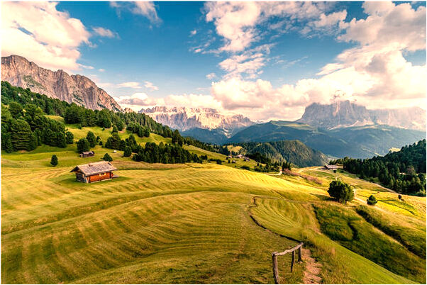 夢見臉上長白癲風是不是好的徵兆呢_周公解夢官網