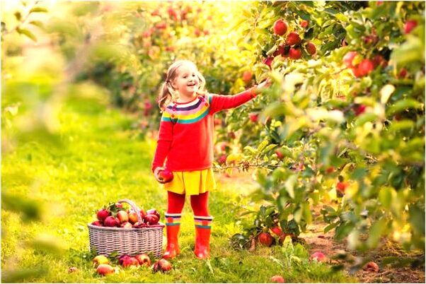 夢到了辦公室來新領導怎么樣_周公解夢官網