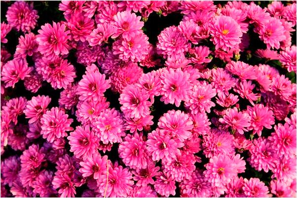 夢到鞋底被人拽斷了是啥意思_周公解夢官網