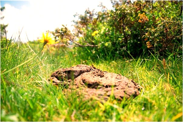 夢到了受傷有血有什麼意義嗎_周公解夢官網