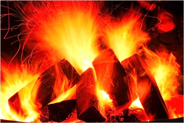 夢到了金黃色的蛇被我打死怎么說_周公解夢官網