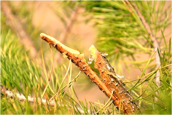 夢見和女友入洞房有什麼徵兆_周公解夢官網