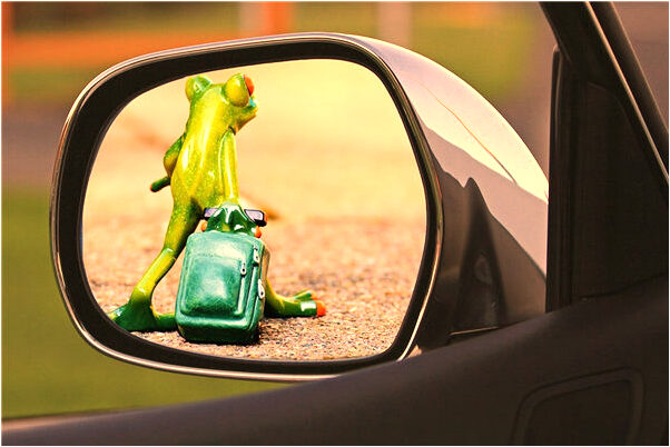 夢到我把狗弄死了代表什麼_周公解夢官網