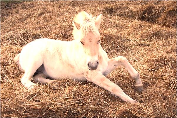 夢見房子漏水漏到自己的床上代表著什麼？_周公解夢官網