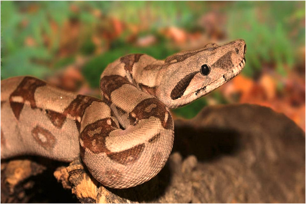 夢見從水中撿到飾品有什麼意義嗎_周公解夢官網