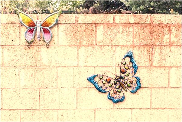 夢到了一條大魚埋在土裡會怎么樣_周公解夢官網