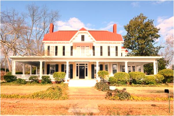 夢到綠眼睛黑貓是啥預兆_周公解夢官網