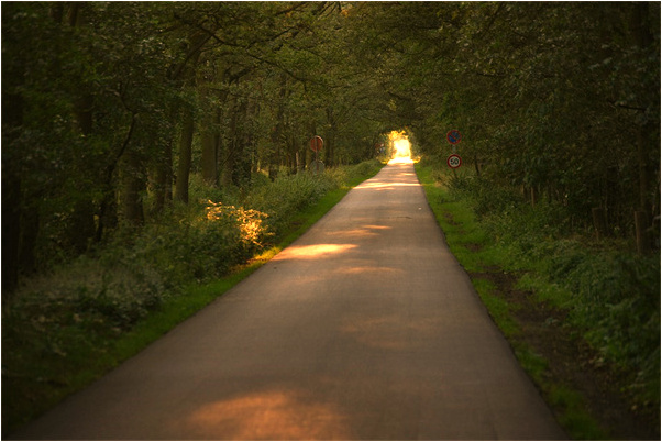 夢到家裡修房是啥意思_周公解夢官網
