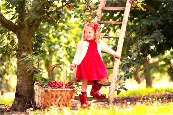 夢到朋友的錢預示著什麼_周公解夢官網