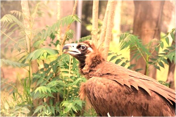 夢到了幼稚園老師抱著一個小男孩有什麼說法_周公解夢官網