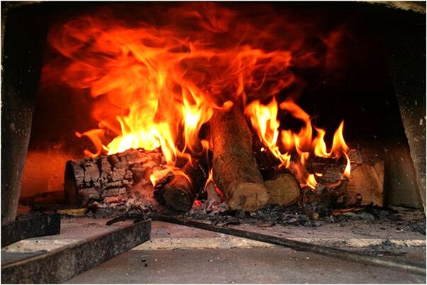 夢到熊殺人預示著什麼_周公解夢官網