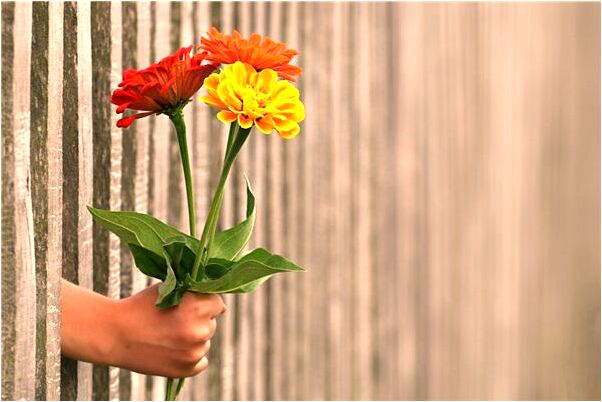 夢見鼻子側面長毛有什麼意思嗎_周公解夢官網