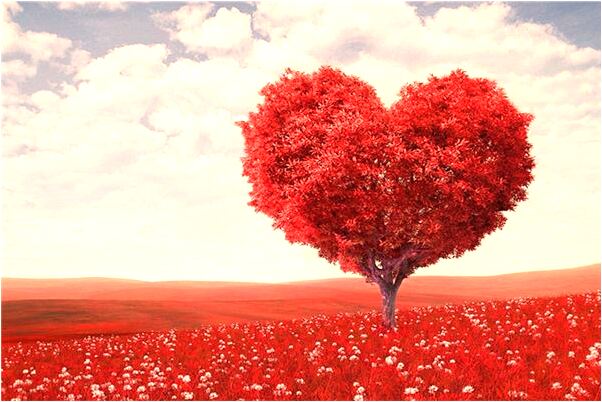 夢見下牙掉了沒出血的預兆_周公解夢官網