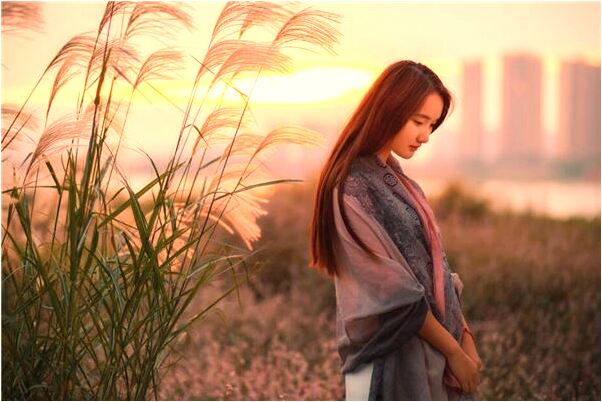 夢到狗向我走來很親近有什麼寓意嗎_周公解夢官網