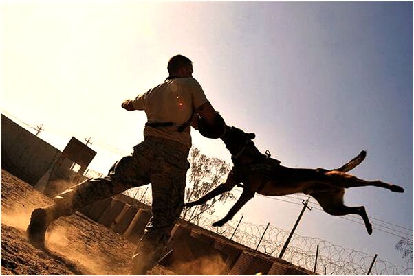 夢見租的房子死過人代表著什麼_周公解夢官網