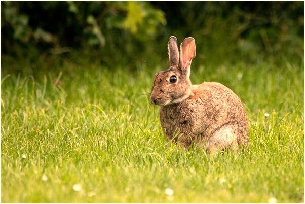 夢到了自已自殺是啥意思_周公解夢官網