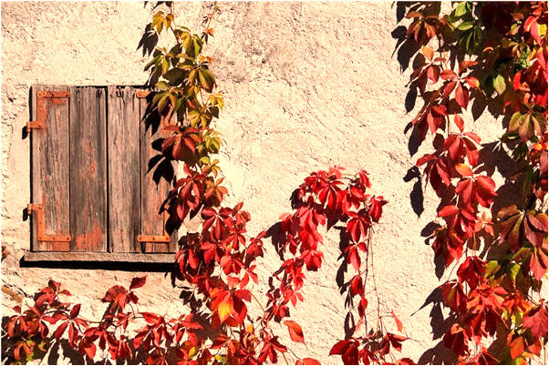 夢到了路過水池子下水走過去是怎么回事_周公解夢官網