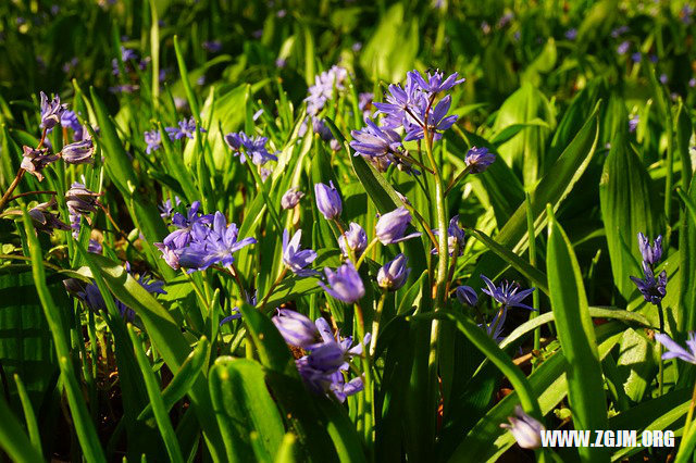 夢見已經絕交的朋友_周公解夢夢到已經絕交的朋友是什麼意思_做夢夢見已經絕交的朋友好不好_周公解夢官網