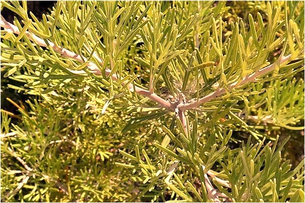 夢到了情人離開有什麼預兆_周公解夢官網