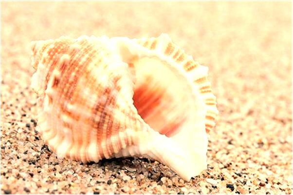 夢見吃香蕉有核是凶兆還是吉兆_周公解夢官網