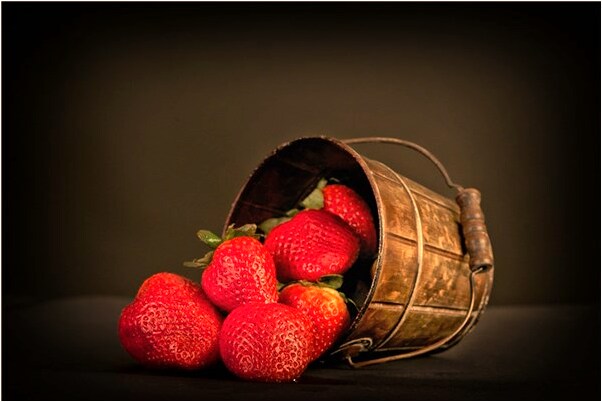 夢到了救熊貓有什麼含義_周公解夢官網