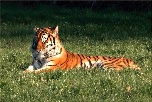 夢到了天空著火有什麼預示嗎_周公解夢官網