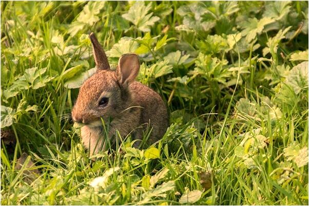夢見狂風暴雨房子漏雨是什麼意思_周公解夢官網
