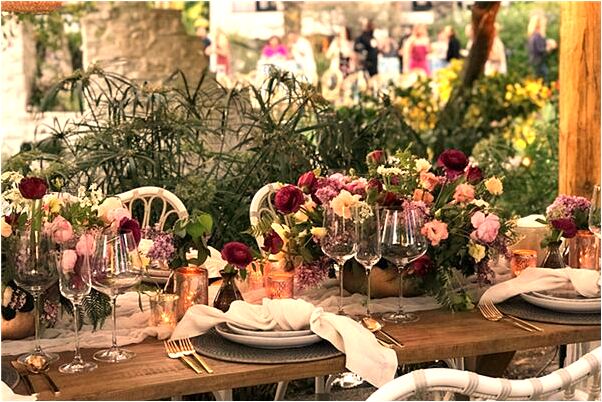 夢到一對白貓一對白狗是凶兆還是吉兆_周公解夢官網