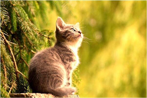 夢見朋友幫我買衣服意味著什麼_周公解夢官網