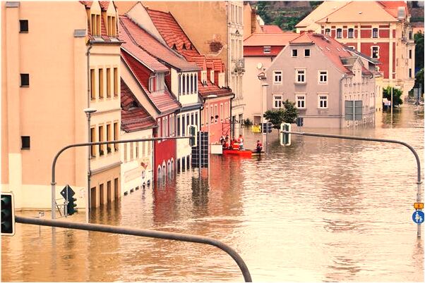 夢見家裡開禮品店的姐姐會有什麼預兆_周公解夢官網