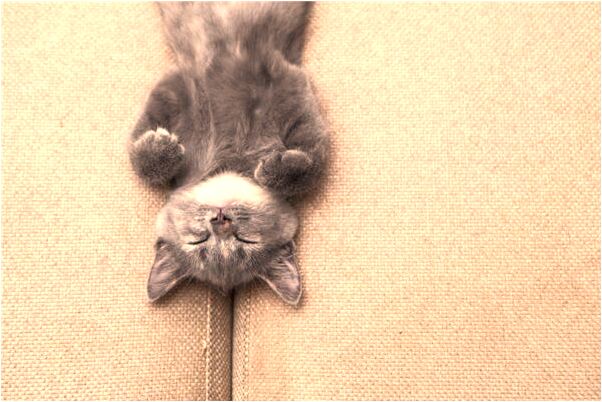 夢到財神向我要錢是好的徵兆嗎_周公解夢官網