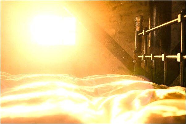 夢見長長的魚爬進身體裡意味什麼_周公解夢官網