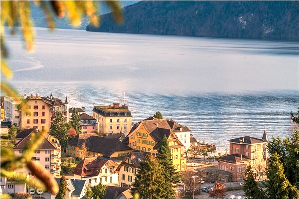 夢到紅薯和花生預兆了什麼嗎_周公解夢官網