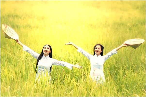 夢到了蟒蛇打架預示著什麼_周公解夢官網