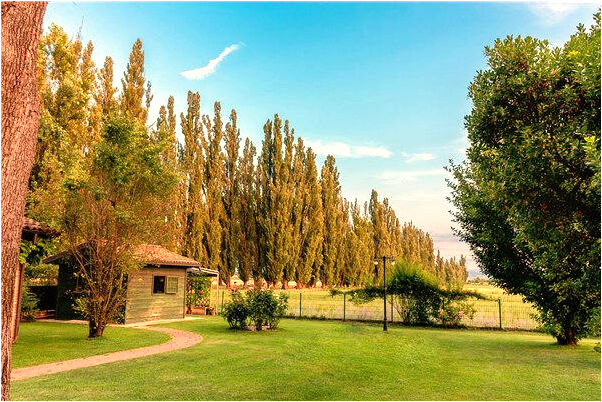 夢到做惡夢流虛汗的預兆_周公解夢官網