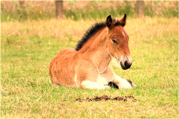 夢到了被人給火車票有什麼寓意嗎_周公解夢官網