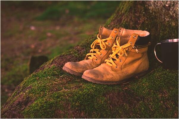 夢到了日本餐館預示什麼_周公解夢官網