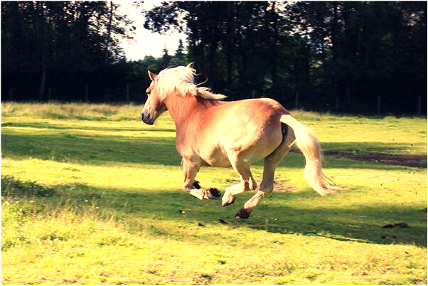 夢到死人被拉走會有什麼預兆_周公解夢官網