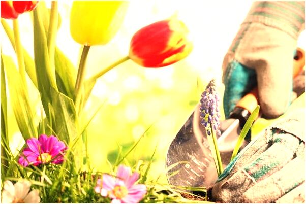 夢見結婚時沒穿婚紗是好事還是壞事_周公解夢官網