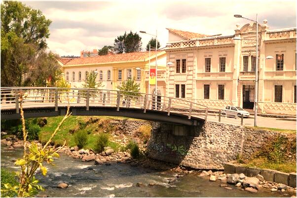 夢到了有眼睛的魚意味什麼_周公解夢官網