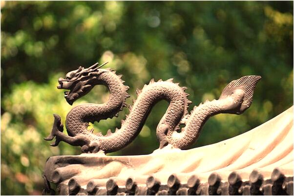 夢到了拔掉爛牙露出一排整齊好牙好不好_周公解夢官網