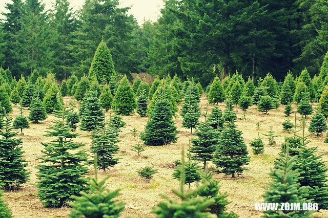 夢見燈不亮_周公解夢夢到燈不亮是什麼意思_做夢夢見燈不亮好不好_周公解夢官網