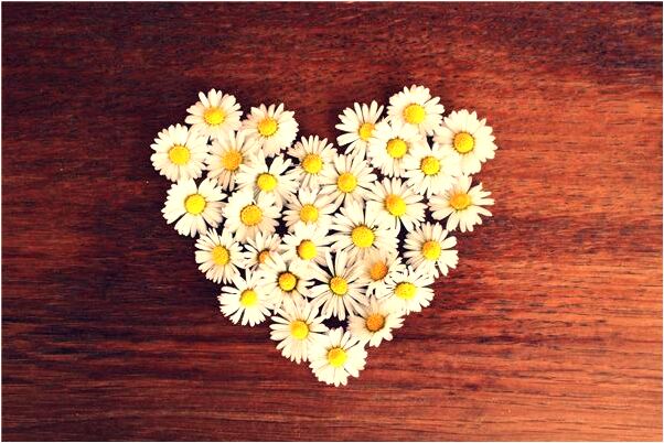 夢到了別人吃屍體有什麼含義_周公解夢官網