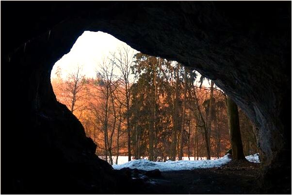 夢到了前夫給我栽皮套是怎么回事_周公解夢官網